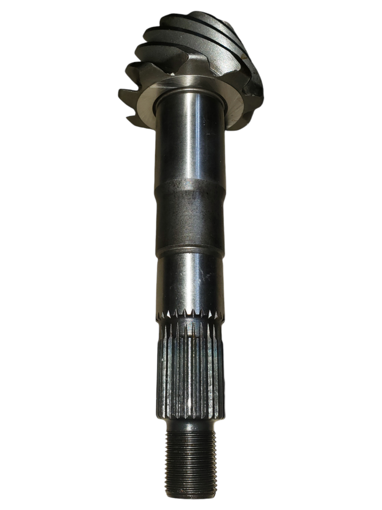 Corona y piñon 9x41