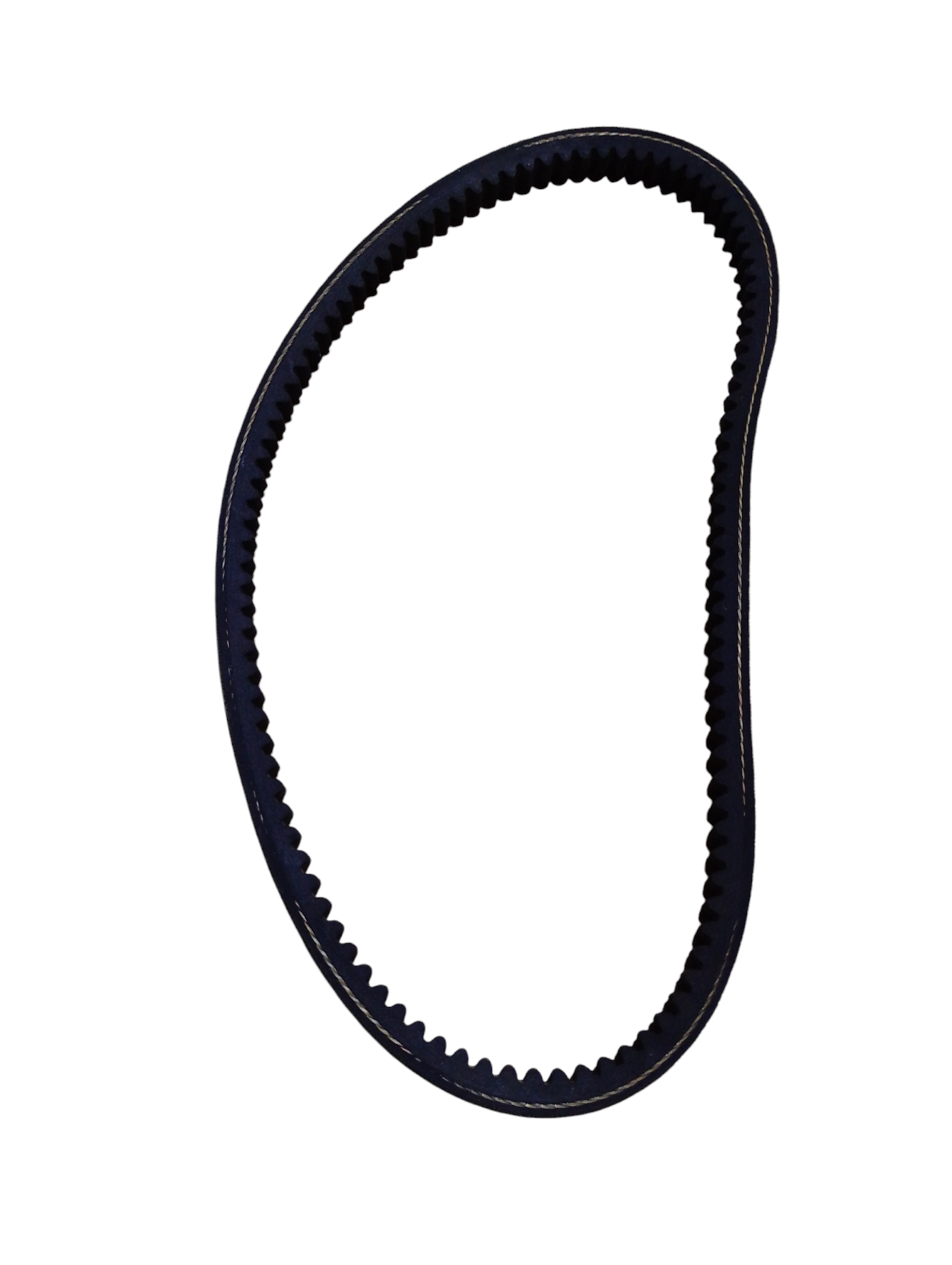 Faja dentada
