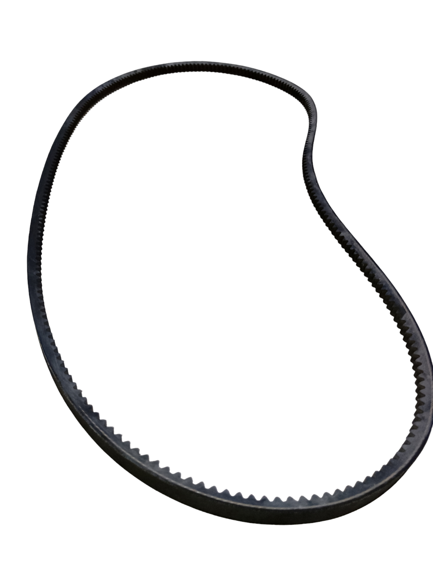 Faja dentada