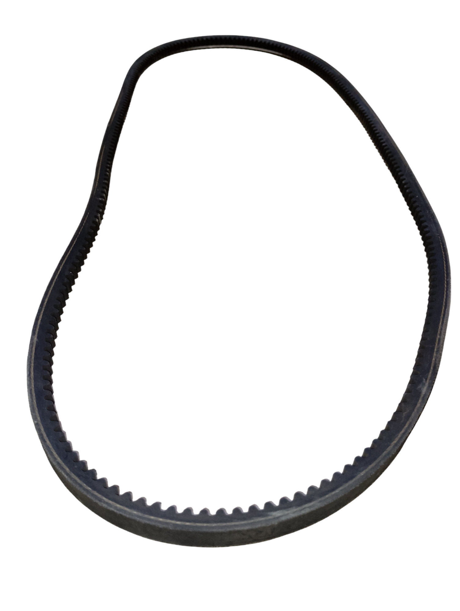 Faja dentada