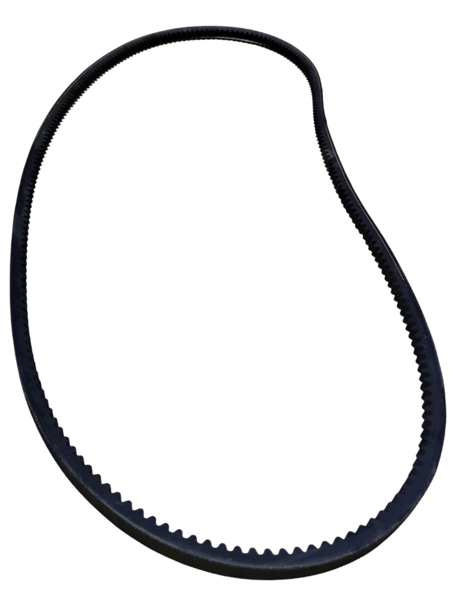 Faja dentada