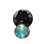 Catarina 10x41